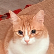 avatar de Twozero016